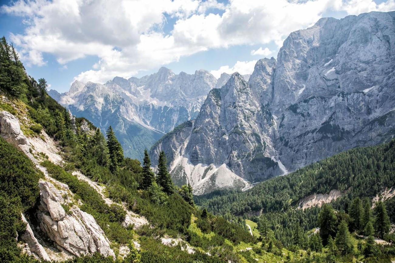 Sunny Retreat Apartment Kranjska Gora Zewnętrze zdjęcie