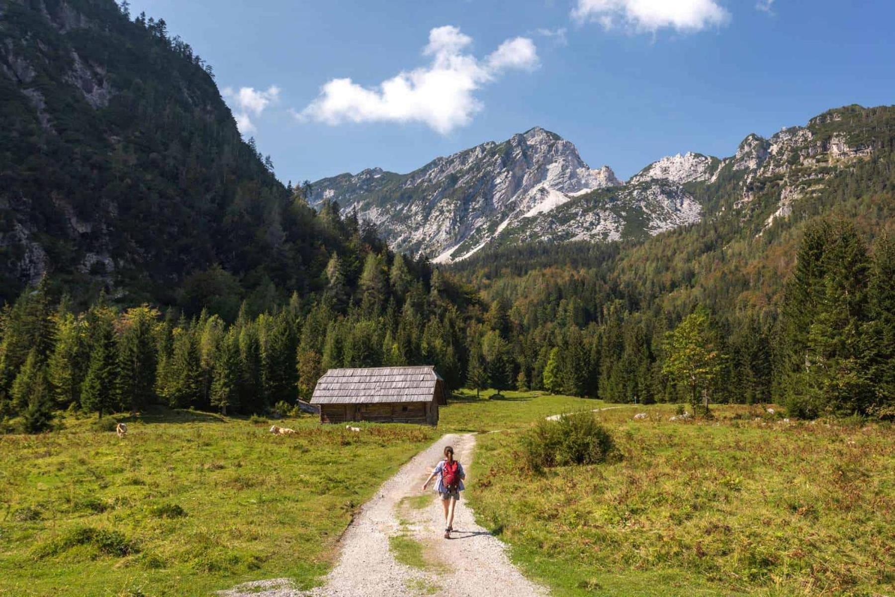 Sunny Retreat Apartment Kranjska Gora Zewnętrze zdjęcie