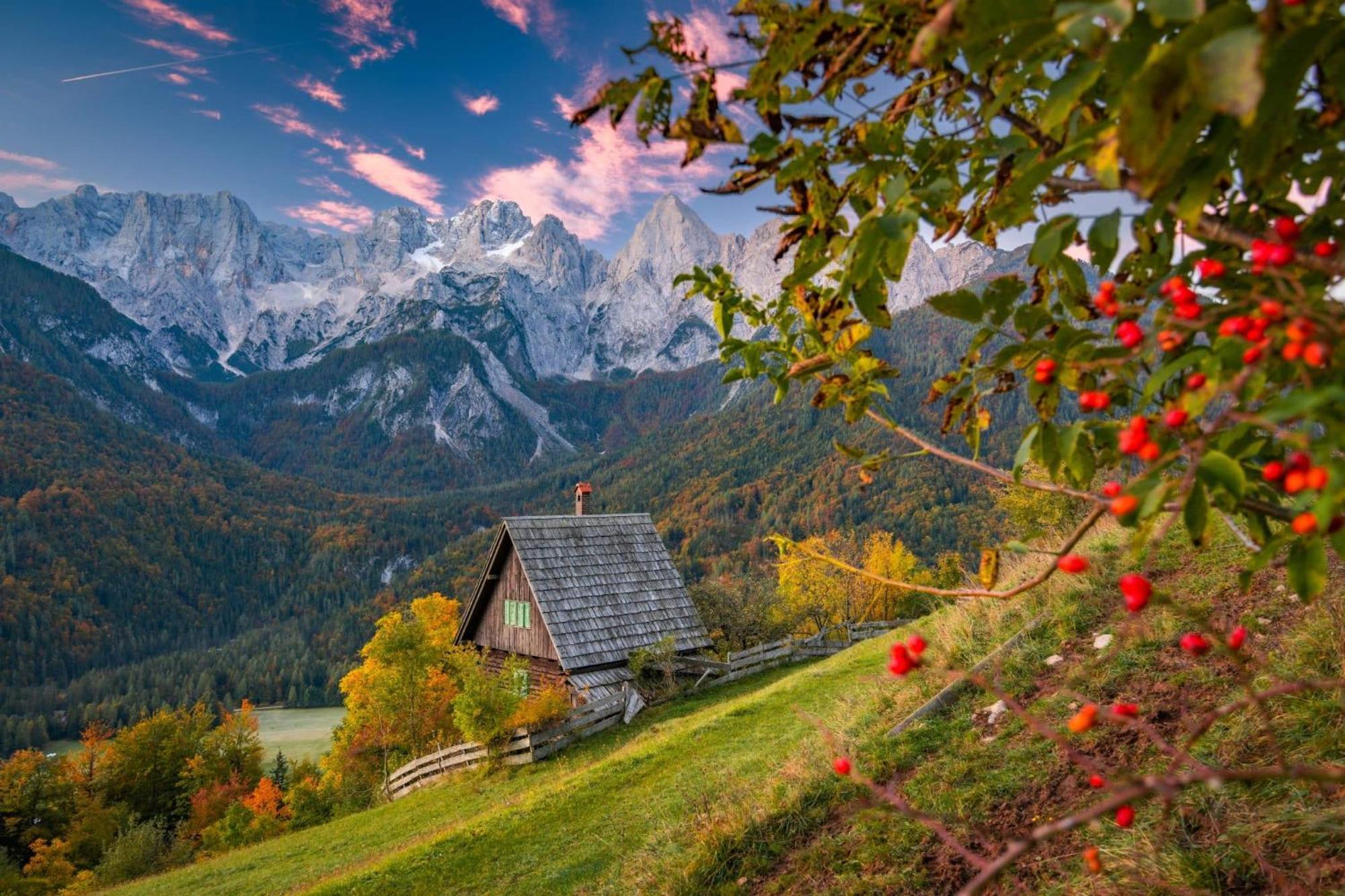 Sunny Retreat Apartment Kranjska Gora Zewnętrze zdjęcie